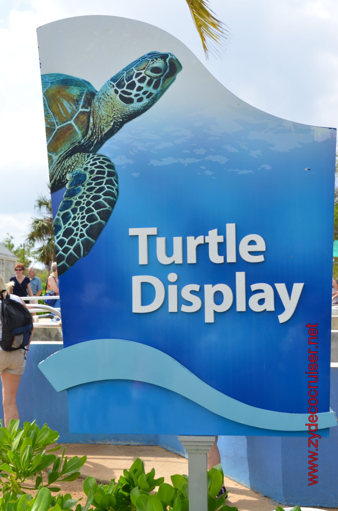 016: Carnival Magic, BC5, John Heald's Bloggers Cruise 5, Grand Cayman, Cayman Turtle Farm, Turtle Display, 