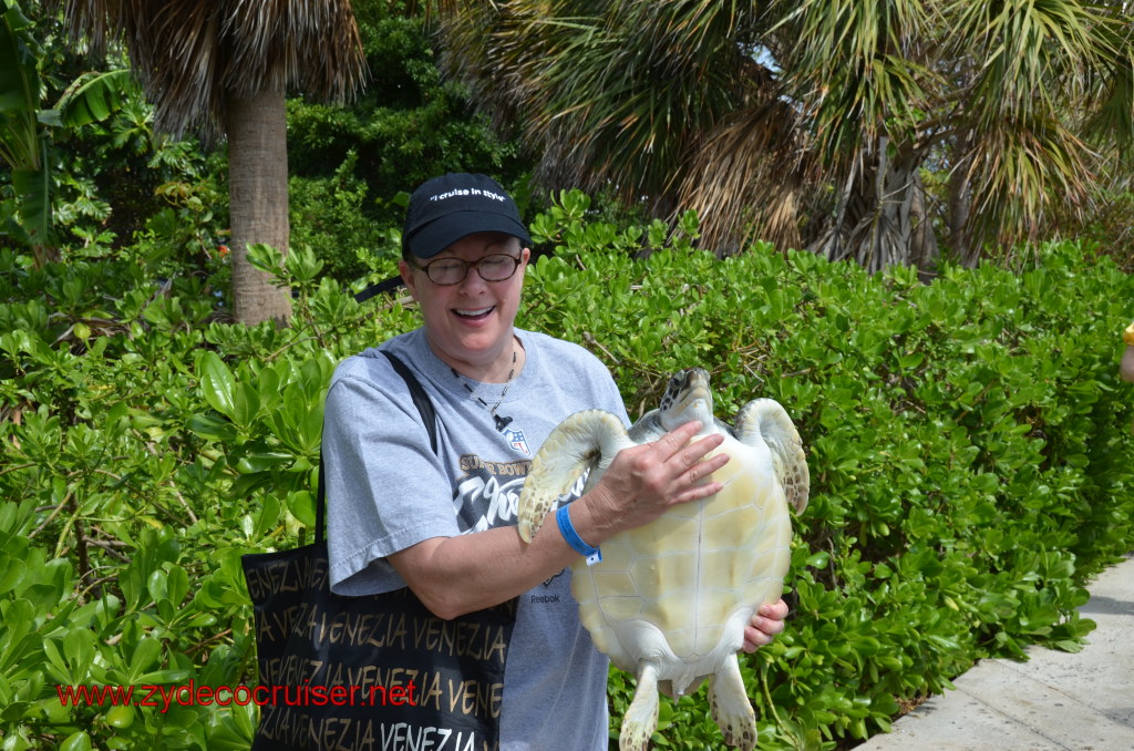 039: Carnival Magic, BC5, John Heald's Bloggers Cruise 5, Grand Cayman, Cayman Turtle Farm, Turtle Display, Touch Tanks, 