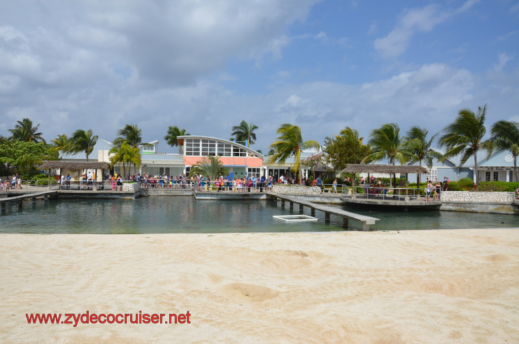 050: Carnival Magic, BC5, John Heald's Bloggers Cruise 5, Grand Cayman, Cayman Turtle Farm, Turtle Breeding Pond, 