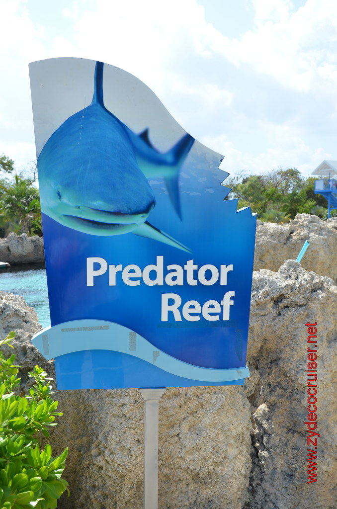 052: Carnival Magic, BC5, John Heald's Bloggers Cruise 5, Grand Cayman, Cayman Turtle Farm, Predator Reef, 