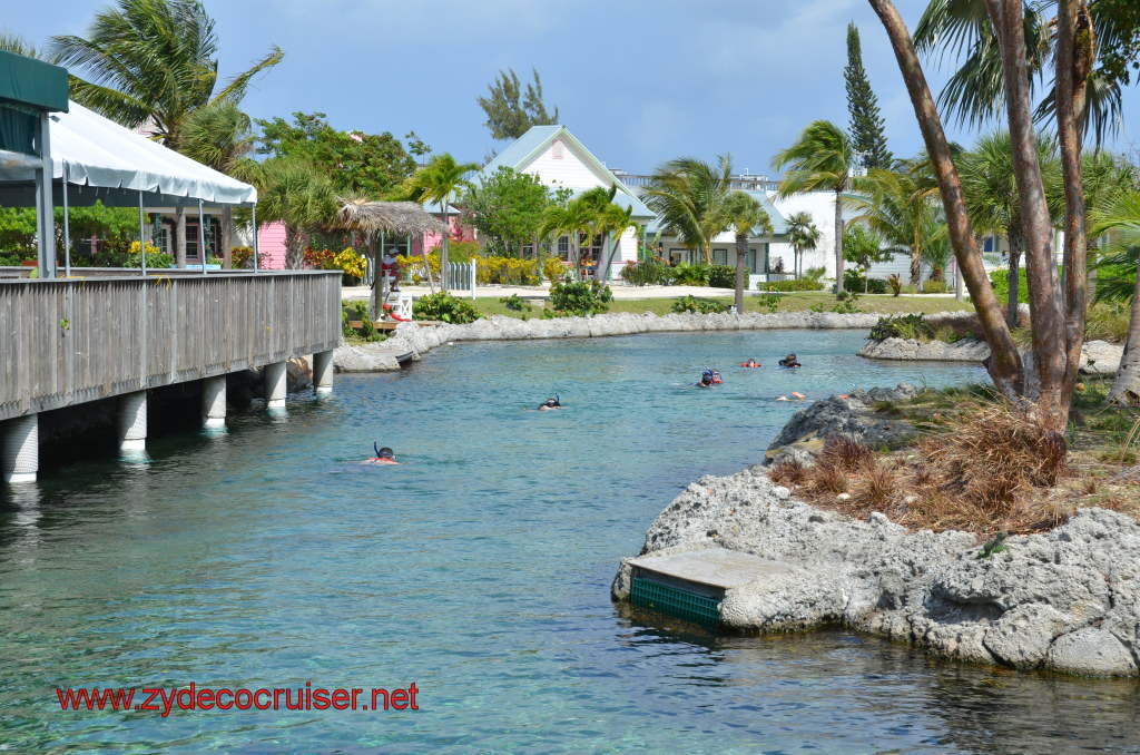 055: Carnival Magic, BC5, John Heald's Bloggers Cruise 5, Grand Cayman, Cayman Turtle Farm, Turtle Lagoon, 