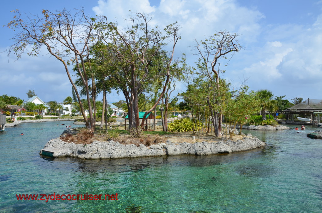 057: Carnival Magic, BC5, John Heald's Bloggers Cruise 5, Grand Cayman, Cayman Turtle Farm, Turtle Lagoon, 