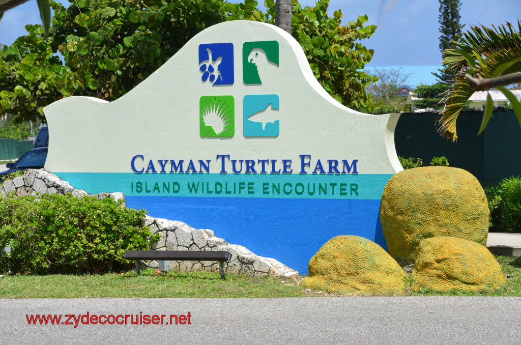 172: Carnival Magic, BC5, John Heald's Bloggers Cruise 5, Grand Cayman, Cayman Turtle Farm, Island Wildlife Encounter, 