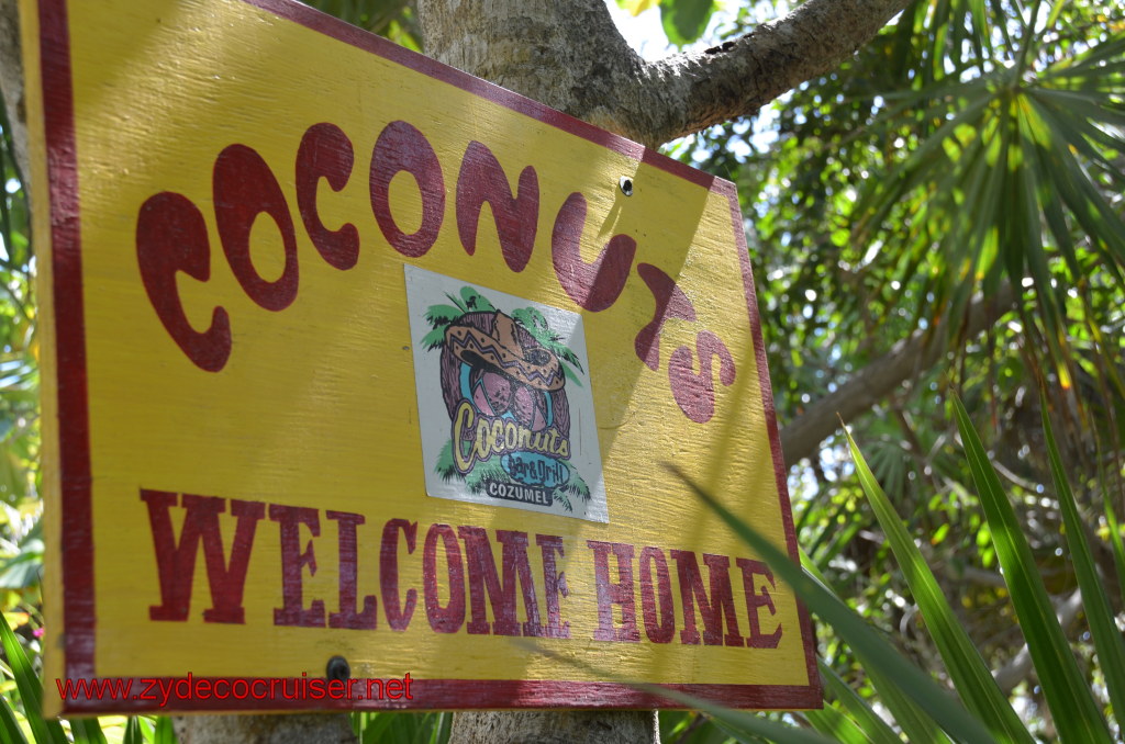 185: Carnival Magic, BC5, John Heald's Bloggers Cruise 5, Cozumel, Island Taxi Tour, Coconuts, 
