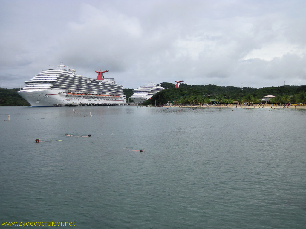 083: Carnival Conquest, Roatan, Mahogany Beach, Carnival Dream and Carnival Conquest. You can snorkel inside the swim buoys, but I didn't try there, 