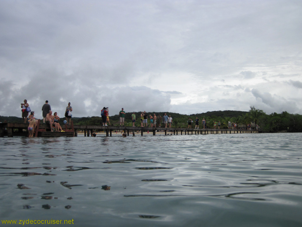 087: Carnival Conquest, Roatan, Snorkeling off of Mahogany Beach, 