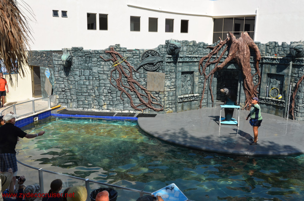 188: Carnival Conquest, Cozumel, Chankanaab,  (free) Sea Lion Show, 