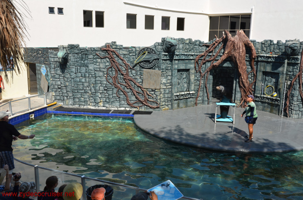 189: Carnival Conquest, Cozumel, Chankanaab,  (free) Sea Lion Show, 
