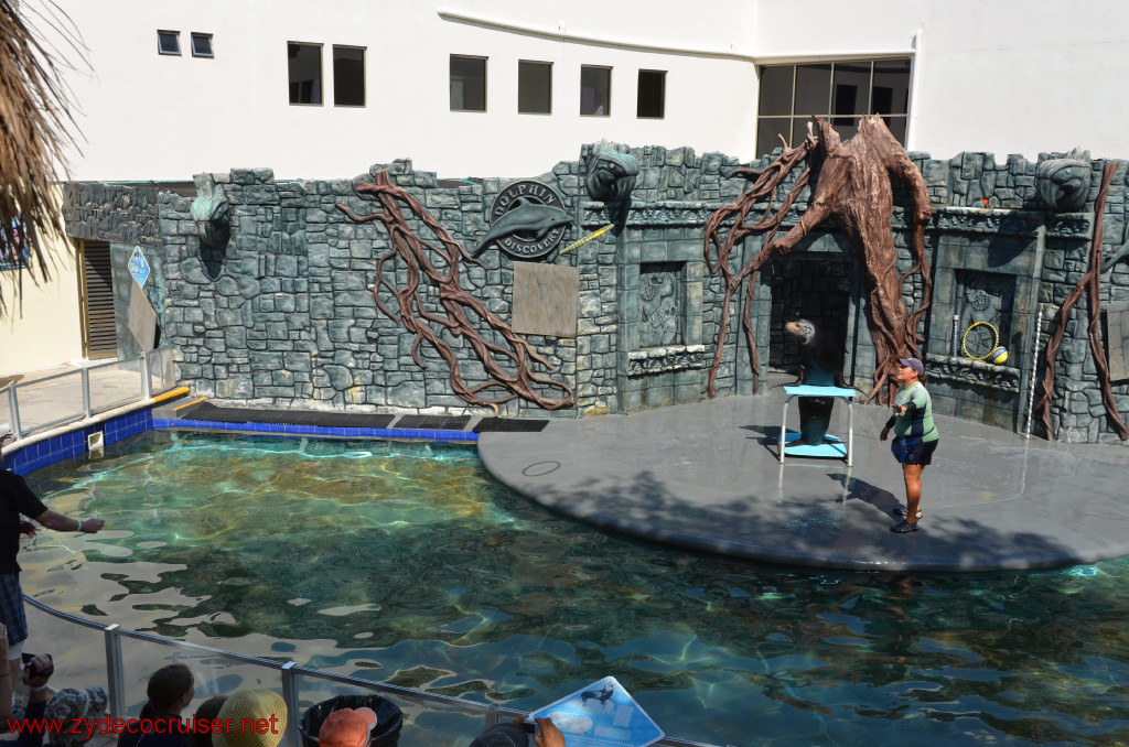 190: Carnival Conquest, Cozumel, Chankanaab,  (free) Sea Lion Show, 