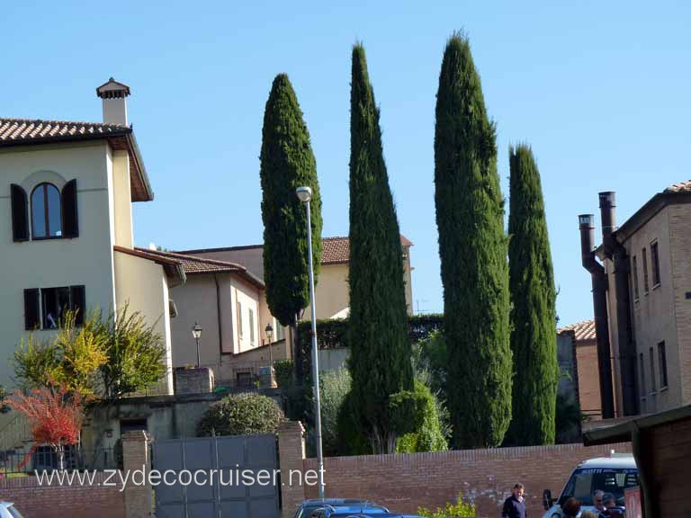 6363: Carnival Dream, Livorno - Beautiful Tuscany - San Gimignano