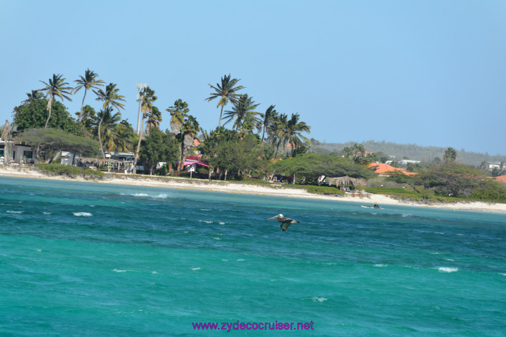 210: Carnival Dream Reposition Cruise, Aruba, Jolly Pirates, Afternoon Aruba Snorkeling, 