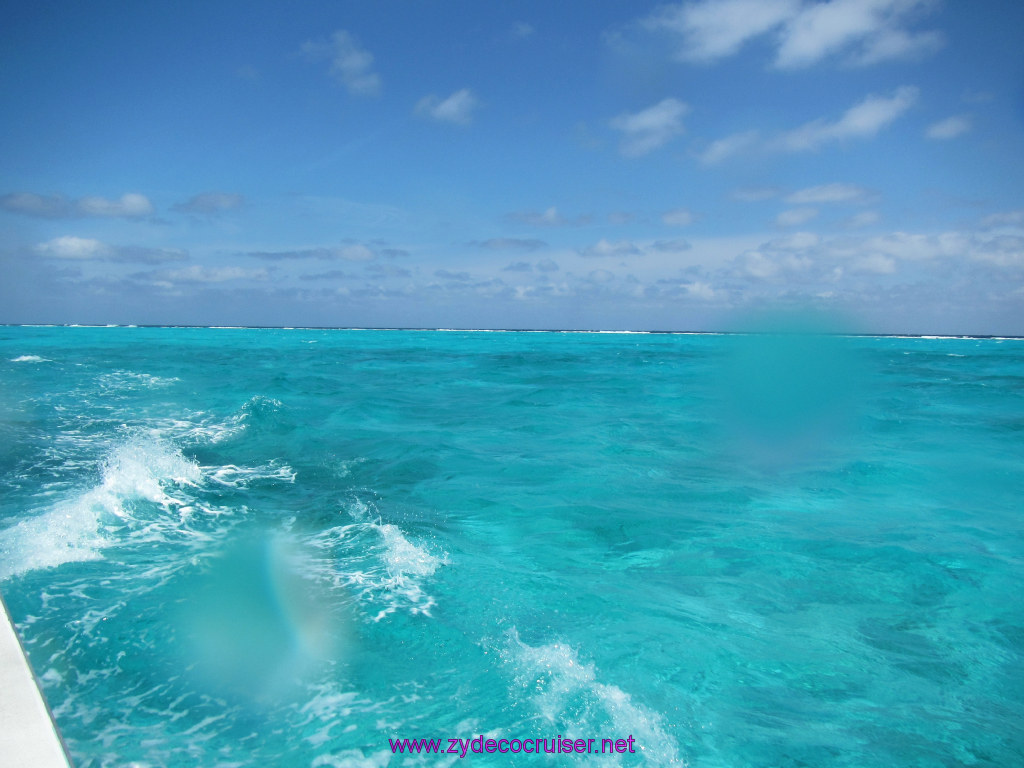 115: Carnival Dream Reposition Cruise, Grand Cayman, Native Way Rays, Reef, and Rum Point Tour, Coral Gardens, 