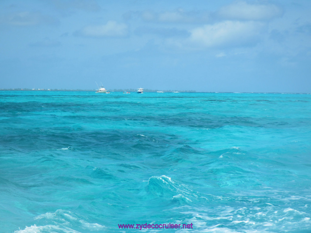 116: Carnival Dream Reposition Cruise, Grand Cayman, Native Way Rays, Reef, and Rum Point Tour, 