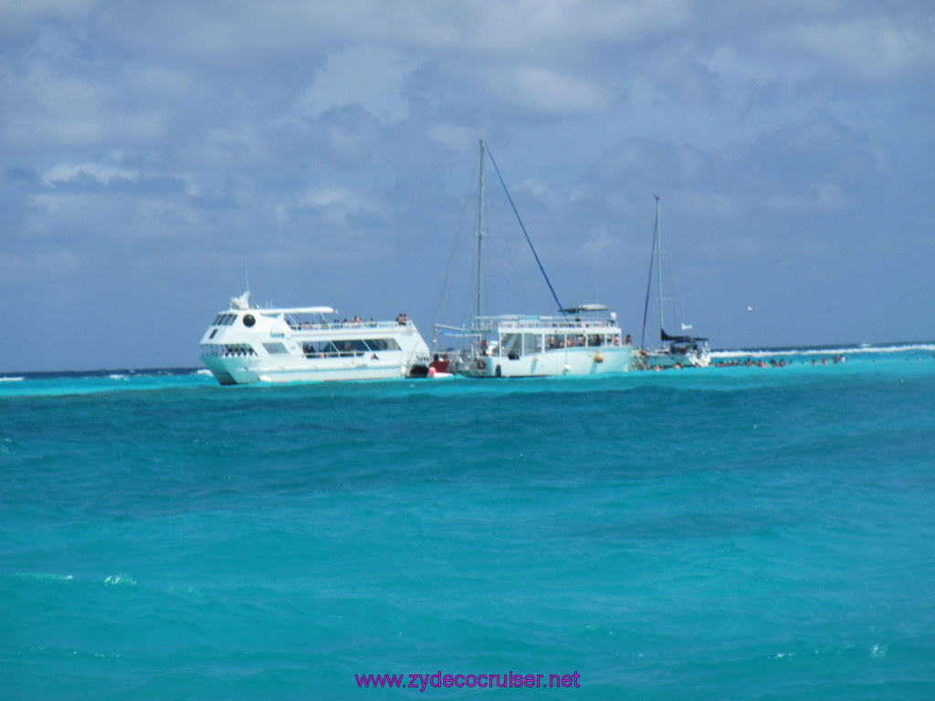 118: Carnival Dream Reposition Cruise, Grand Cayman, Native Way Rays, Reef, and Rum Point Tour, 
