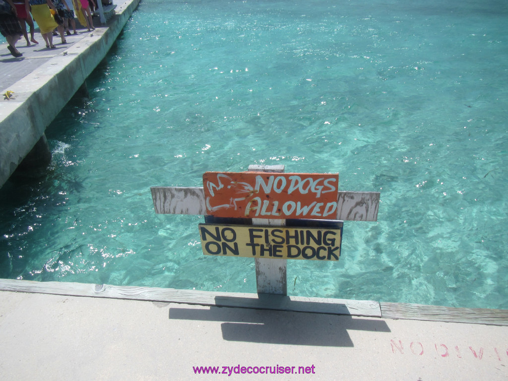 124: Carnival Dream Reposition Cruise, Grand Cayman, Native Way Rays, Reef, and Rum Point Tour, Rum Point, 