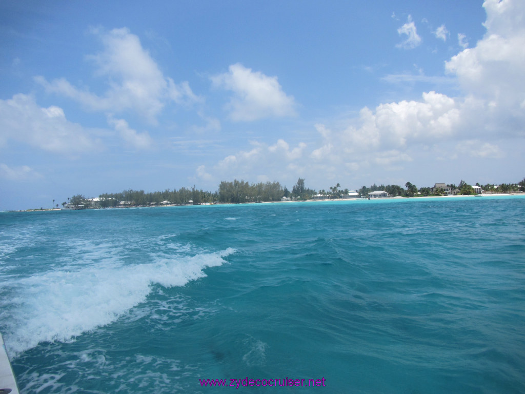 186: Carnival Dream Reposition Cruise, Grand Cayman, Native Way Rays, Reef, and Rum Point Tour, 