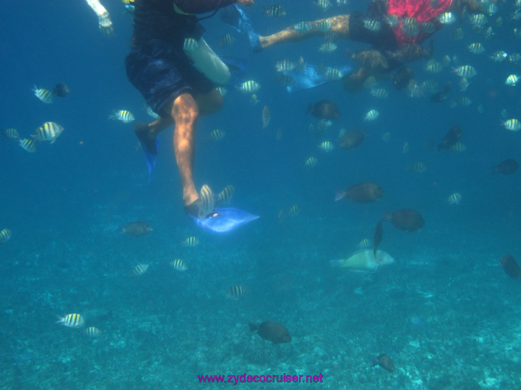 039: Carnival Elation Cruise, Cozumel, Two Reef Snorkeling by Boat, 