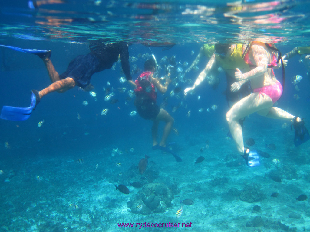 040: Carnival Elation Cruise, Cozumel, Two Reef Snorkeling by Boat, 