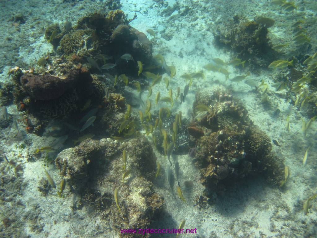 050: Carnival Elation Cruise, Cozumel, Two Reef Snorkeling by Boat, 