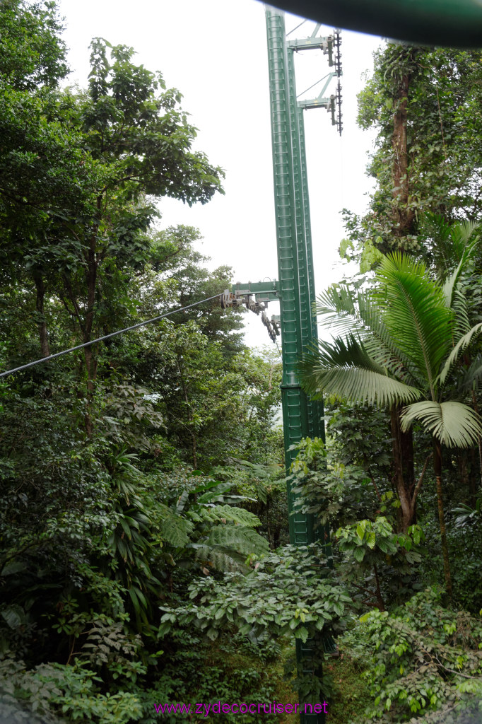 132: Carnival Freedom Reposition Cruise, St Lucia, Rain Forest Aerial Tram Adventure, 