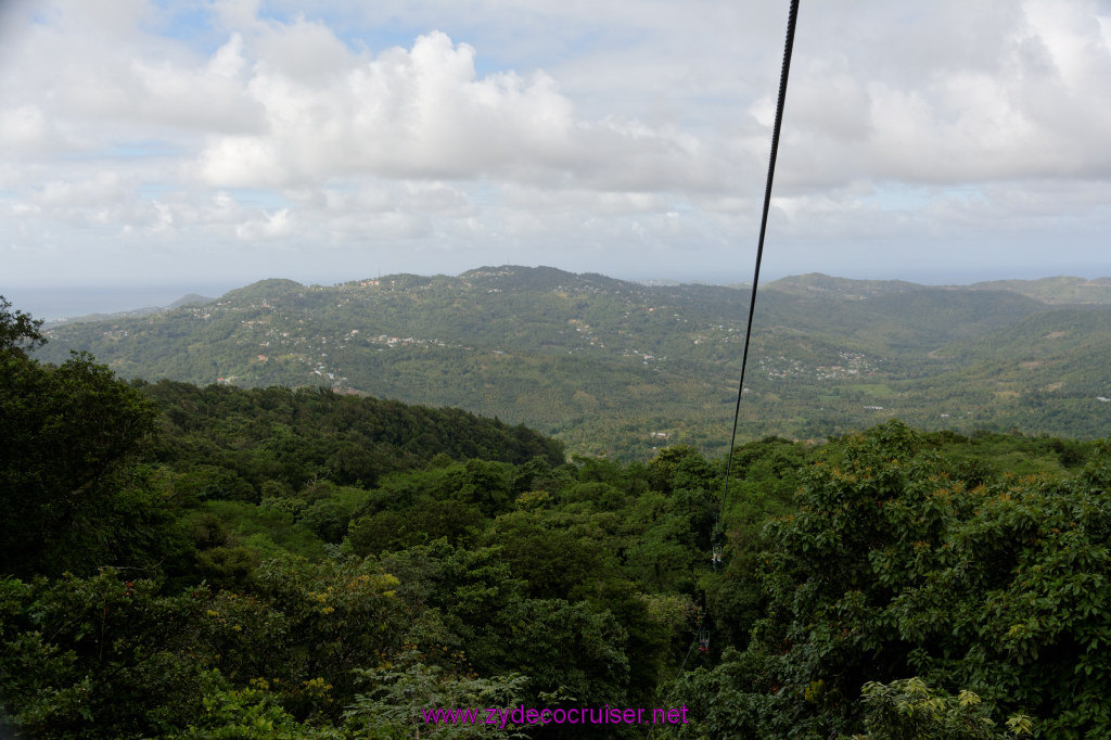 136: Carnival Freedom Reposition Cruise, St Lucia, Rain Forest Aerial Tram Adventure, 