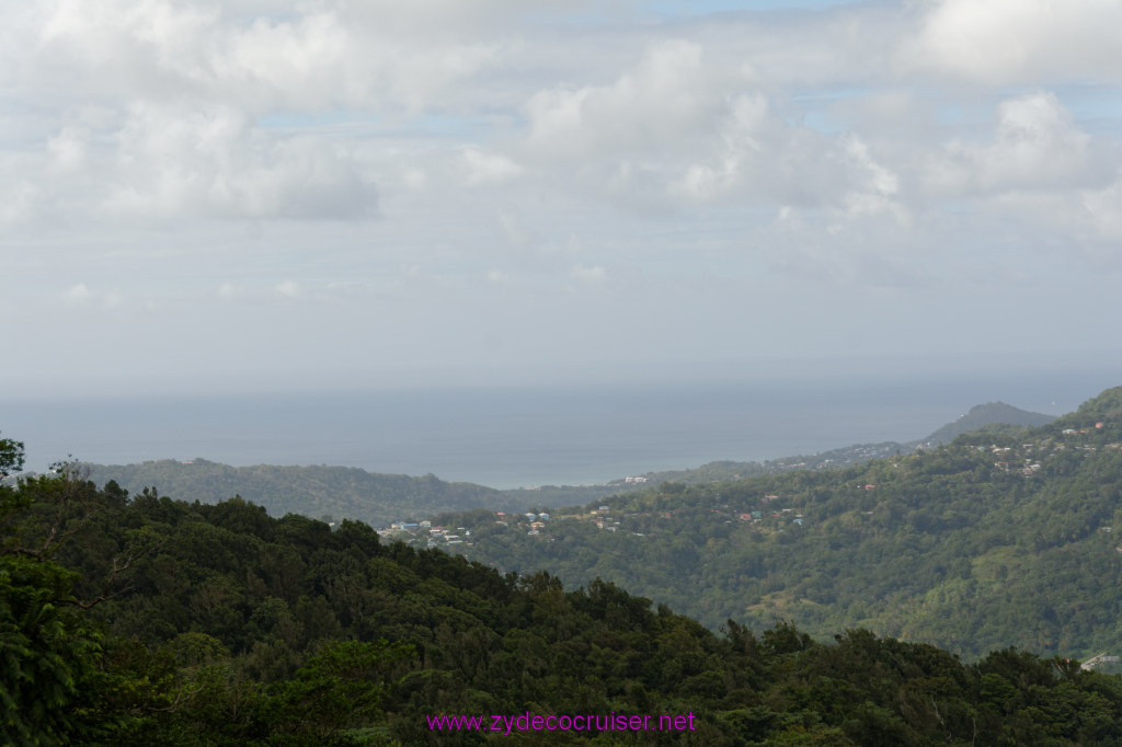 139: Carnival Freedom Reposition Cruise, St Lucia, Rain Forest Aerial Tram Adventure, 