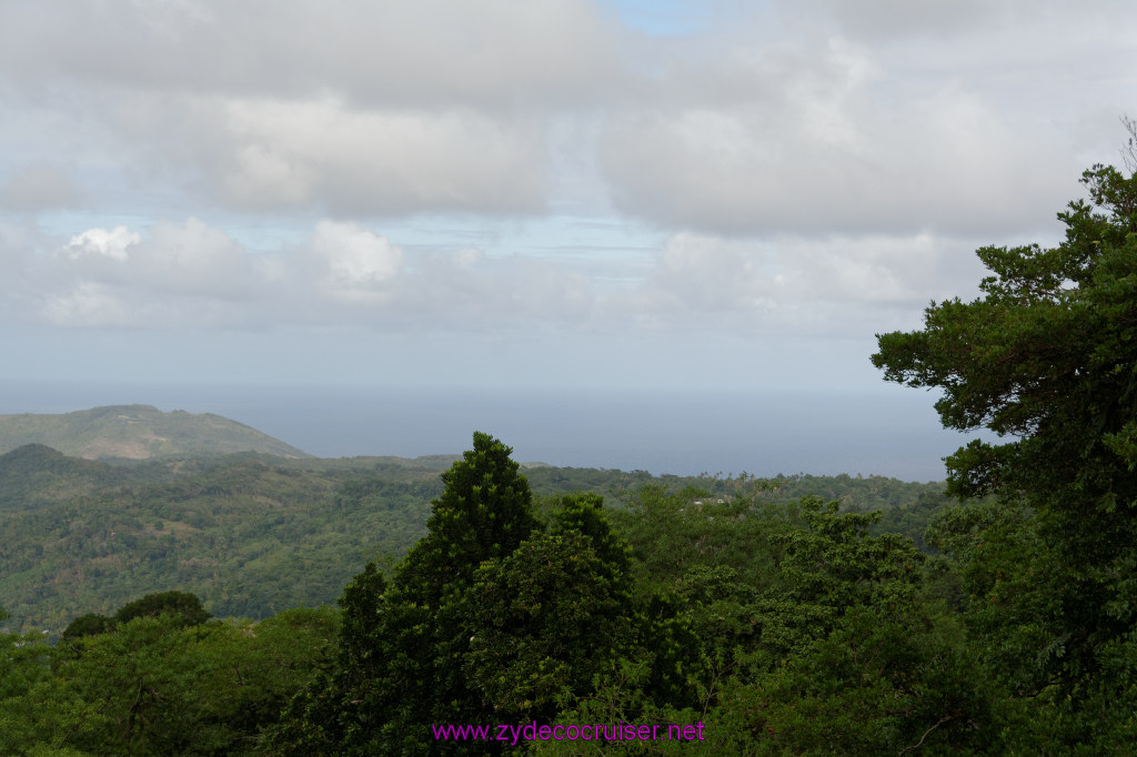 144: Carnival Freedom Reposition Cruise, St Lucia, Rain Forest Aerial Tram Adventure, 