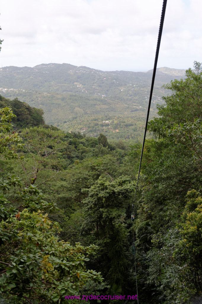 155: Carnival Freedom Reposition Cruise, St Lucia, Rain Forest Aerial Tram Adventure, 