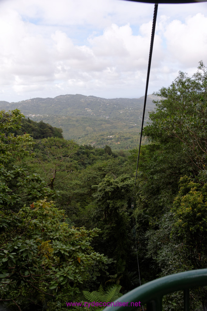 156: Carnival Freedom Reposition Cruise, St Lucia, Rain Forest Aerial Tram Adventure, 