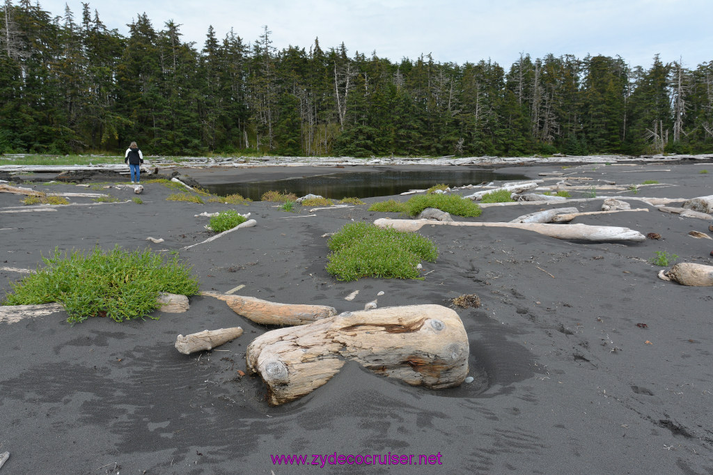 109: Carnival Miracle Alaska Cruise, Sitka, Jet Cat Wildlife Quest And Beach Exploration Excursion, 