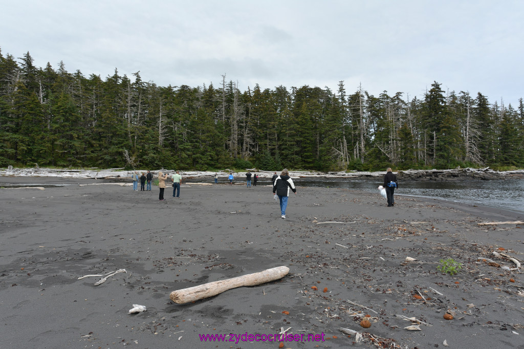 123: Carnival Miracle Alaska Cruise, Sitka, Jet Cat Wildlife Quest And Beach Exploration Excursion, 