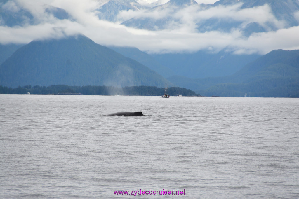 169: Carnival Miracle Alaska Cruise, Sitka, Jet Cat Wildlife Quest And Beach Exploration Excursion, 