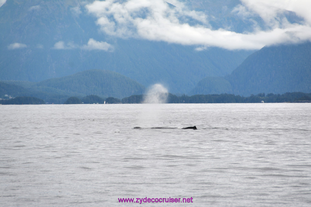 171: Carnival Miracle Alaska Cruise, Sitka, Jet Cat Wildlife Quest And Beach Exploration Excursion, 