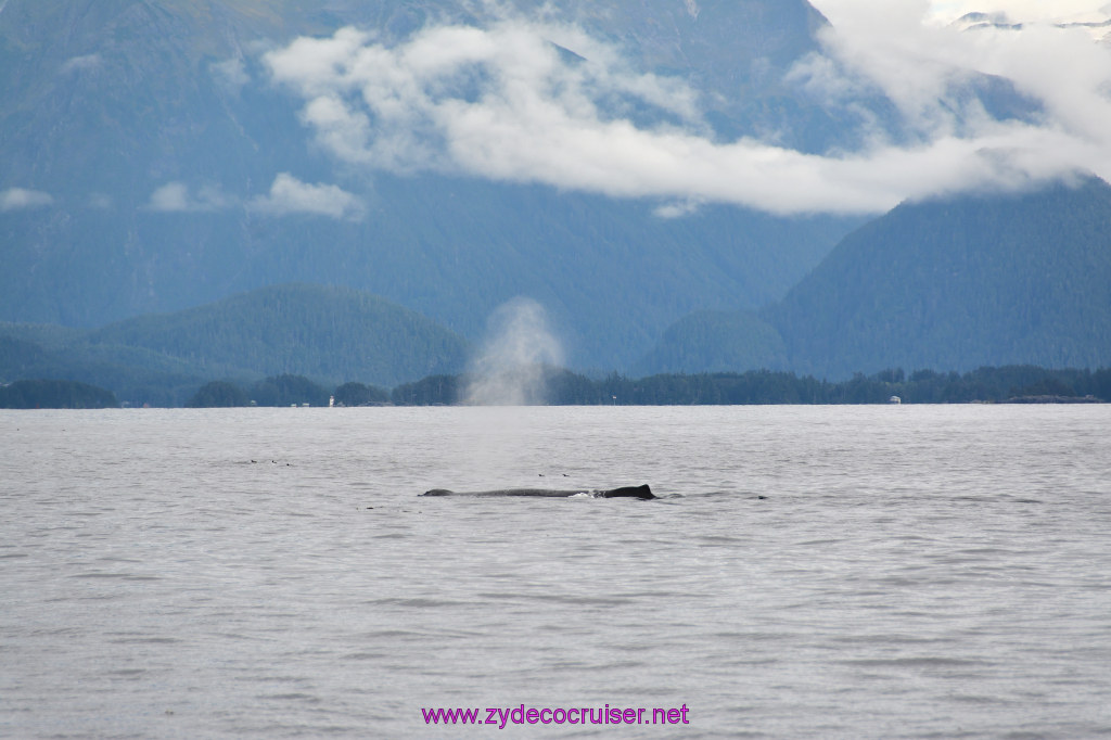 172: Carnival Miracle Alaska Cruise, Sitka, Jet Cat Wildlife Quest And Beach Exploration Excursion, 