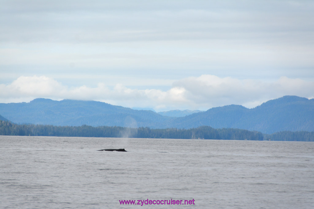264: Carnival Miracle Alaska Cruise, Sitka, Jet Cat Wildlife Quest And Beach Exploration Excursion, 