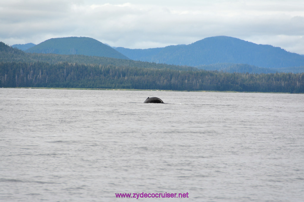 268: Carnival Miracle Alaska Cruise, Sitka, Jet Cat Wildlife Quest And Beach Exploration Excursion, 