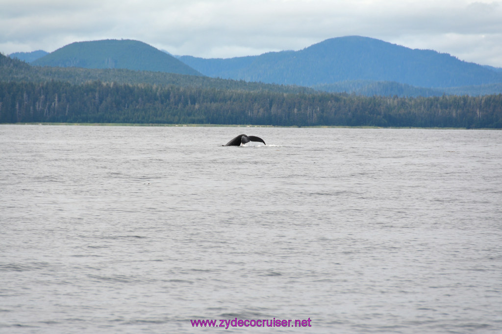 271: Carnival Miracle Alaska Cruise, Sitka, Jet Cat Wildlife Quest And Beach Exploration Excursion, 