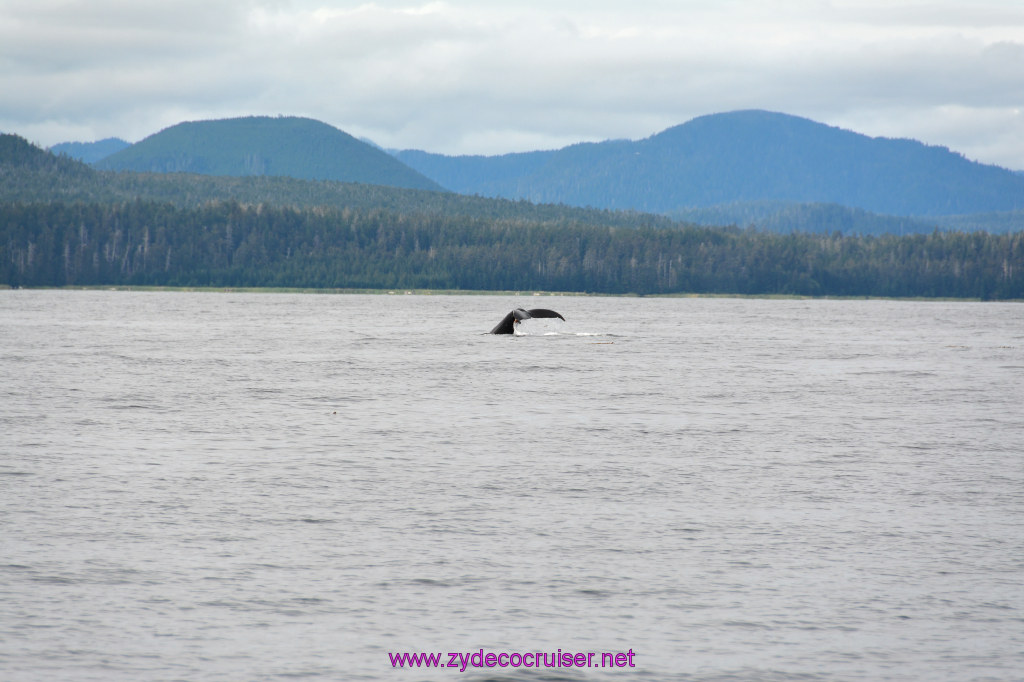 272: Carnival Miracle Alaska Cruise, Sitka, Jet Cat Wildlife Quest And Beach Exploration Excursion, 
