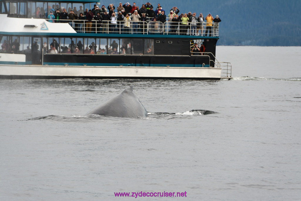 297: Carnival Miracle Alaska Cruise, Sitka, Jet Cat Wildlife Quest And Beach Exploration Excursion, 
