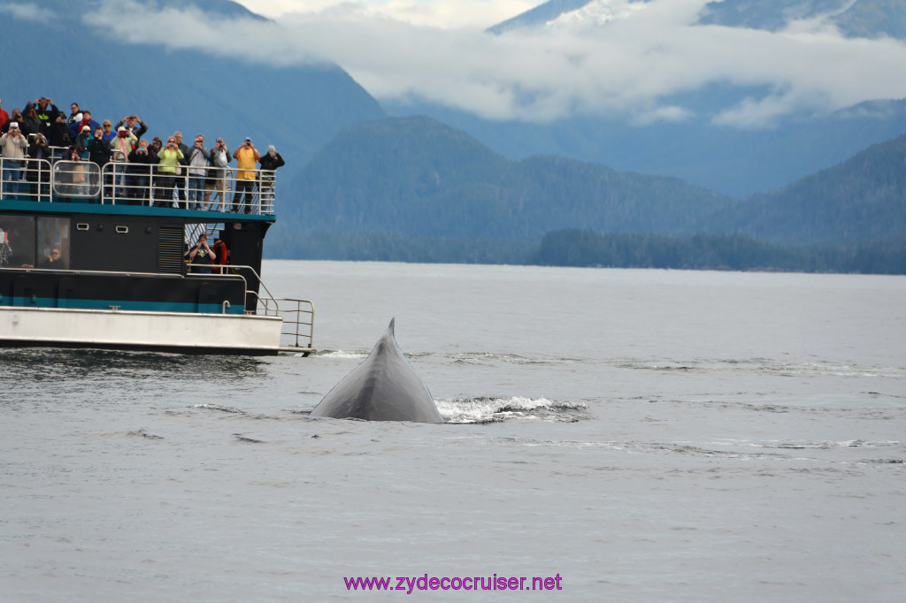309: Carnival Miracle Alaska Cruise, Sitka, Jet Cat Wildlife Quest And Beach Exploration Excursion, 