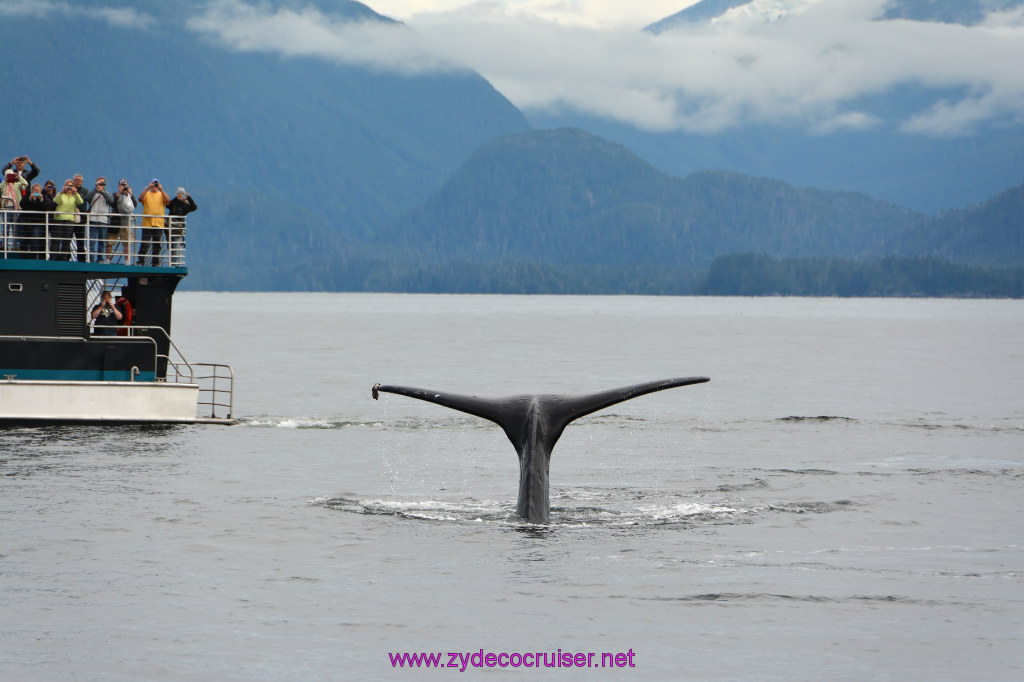 314: Carnival Miracle Alaska Cruise, Sitka, Jet Cat Wildlife Quest And Beach Exploration Excursion, 
