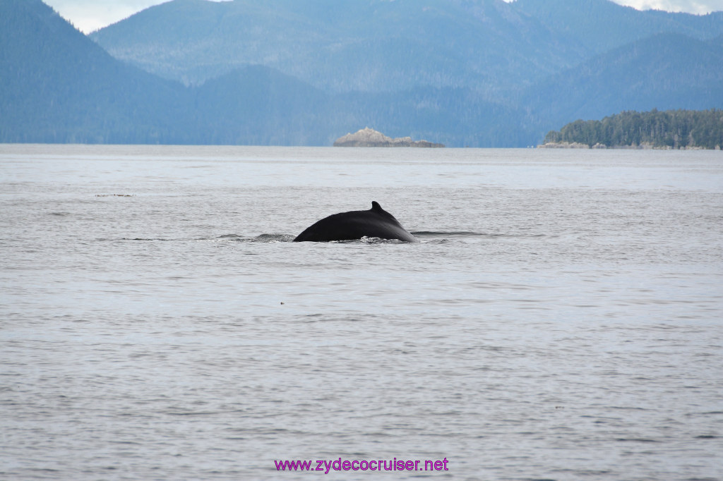 340: Carnival Miracle Alaska Cruise, Sitka, Jet Cat Wildlife Quest And Beach Exploration Excursion, 