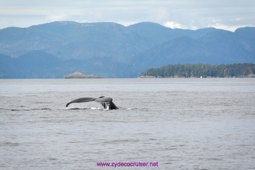 343: Carnival Miracle Alaska Cruise, Sitka, Jet Cat Wildlife Quest And Beach Exploration Excursion, 