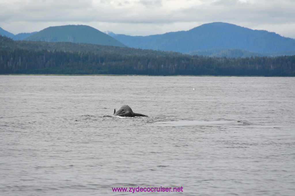 352: Carnival Miracle Alaska Cruise, Sitka, Jet Cat Wildlife Quest And Beach Exploration Excursion, 
