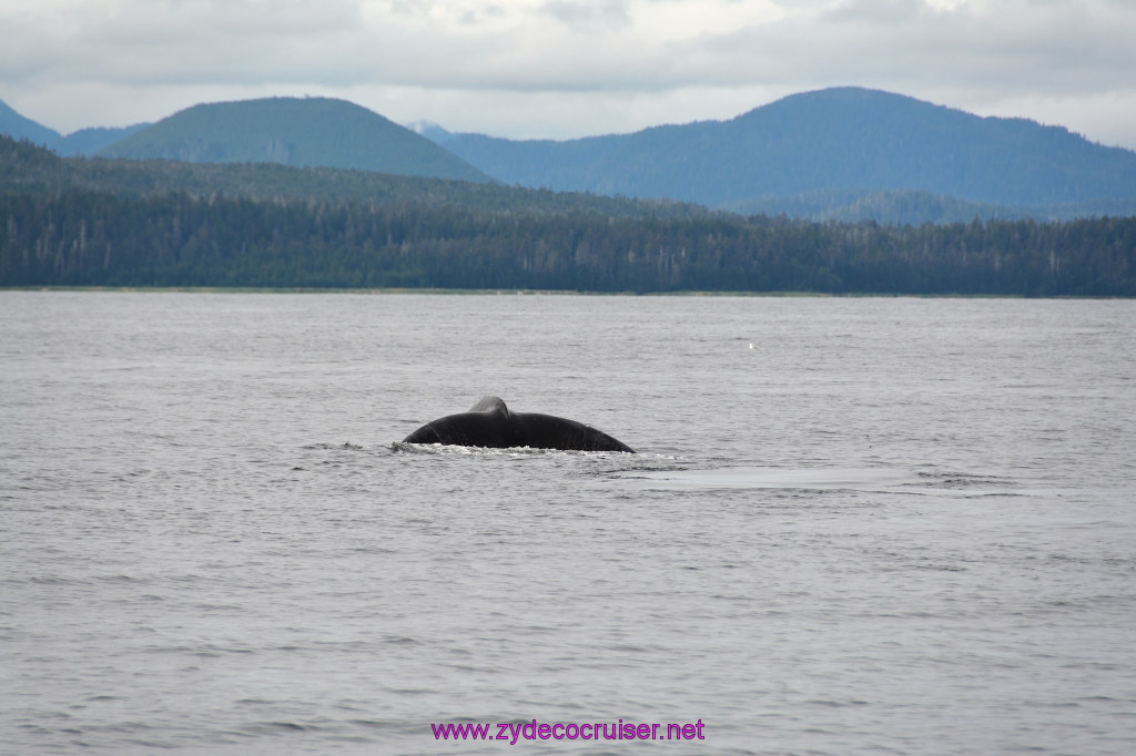 353: Carnival Miracle Alaska Cruise, Sitka, Jet Cat Wildlife Quest And Beach Exploration Excursion, 