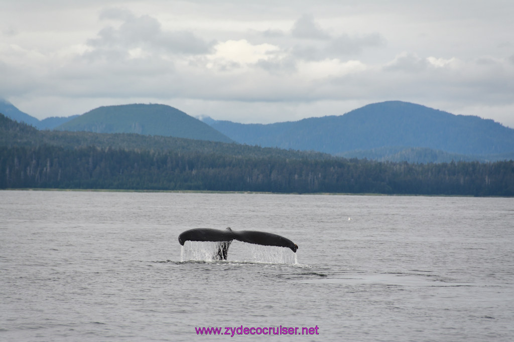 355: Carnival Miracle Alaska Cruise, Sitka, Jet Cat Wildlife Quest And Beach Exploration Excursion, 