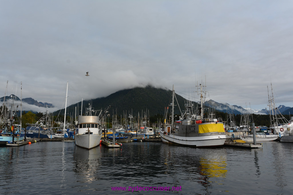 383: Carnival Miracle Alaska Cruise, Sitka, Jet Cat Wildlife Quest And Beach Exploration Excursion, 