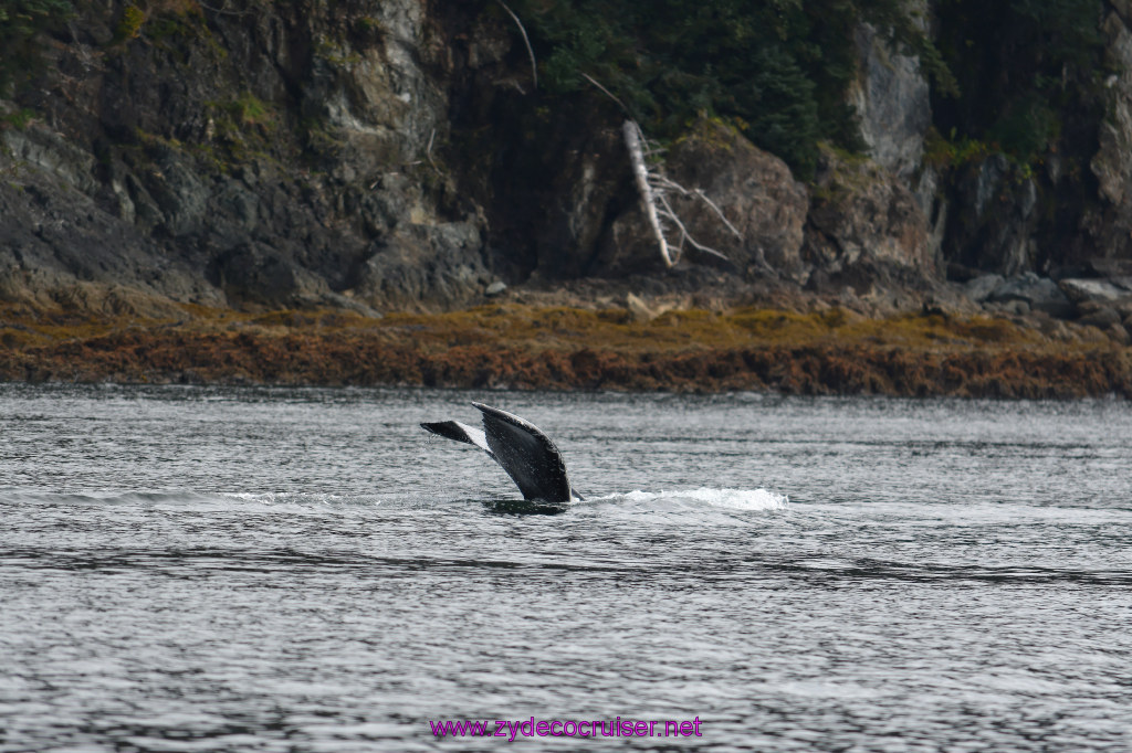 133: Carnival Miracle Alaska Cruise, Juneau, Harv and Marv's Whale Watching, 