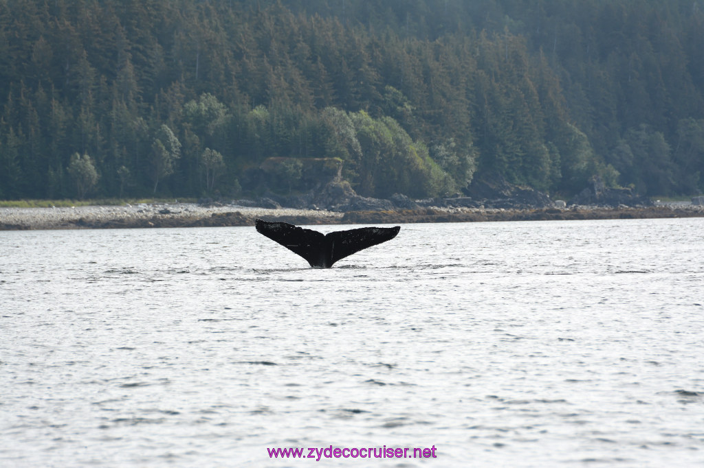302: Carnival Miracle Alaska Cruise, Juneau, Harv and Marv's Whale Watching, 