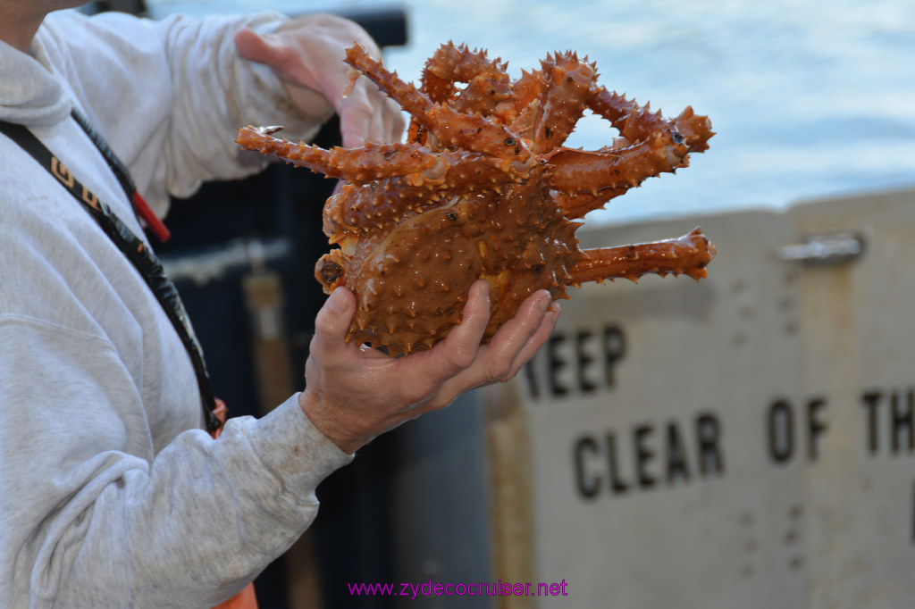 448: Carnival Miracle Alaska Cruise, Ketchikan, Bering Sea Crab Fisherman's Tour, 